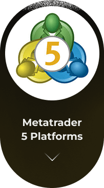 منصات شاملة