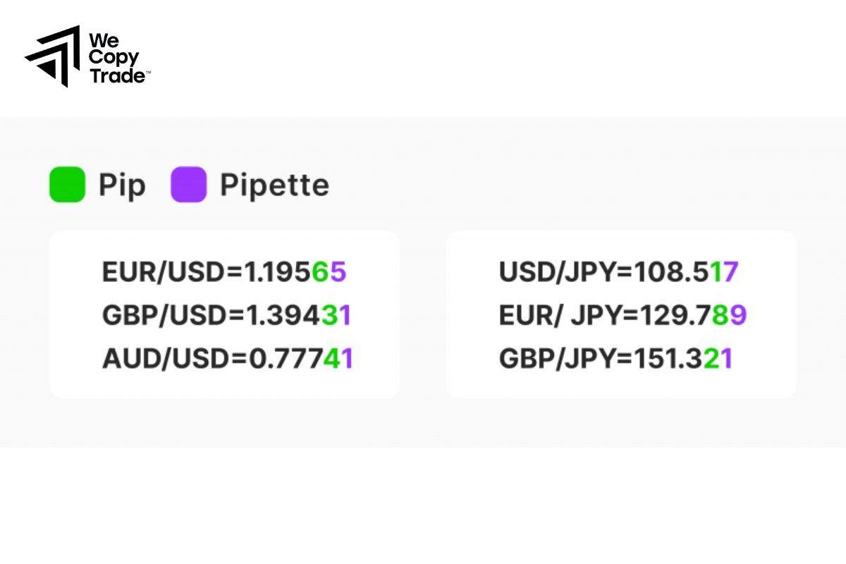 What Is the Difference Between a Pip and a Pipette?
