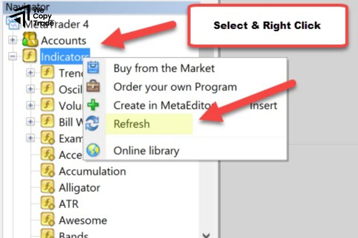 Install the Plugin Files