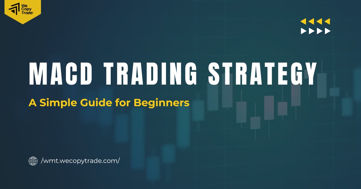 MACD Trading Strategy: A Simple Guide for Beginners