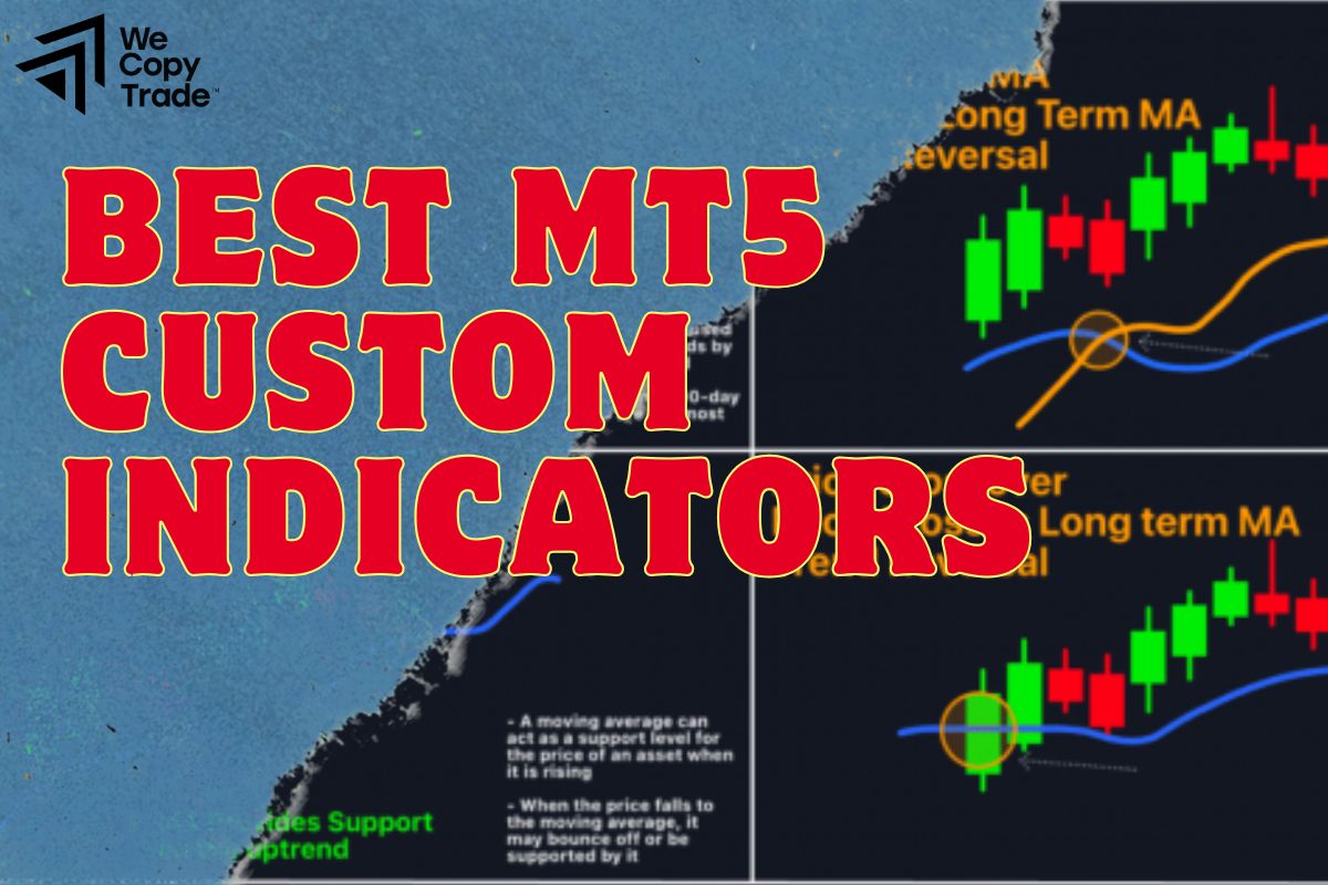Best MetaTrader 5 Custom Indicators to Level Up Your Trading