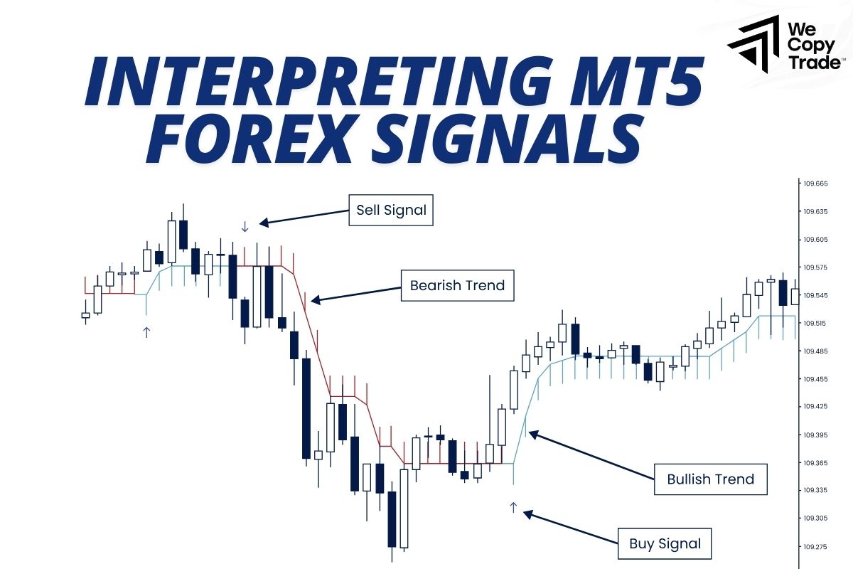 Interpreting MT5 Forex Signals