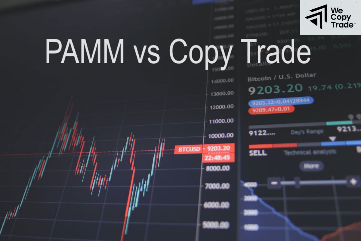 Differences Between Copy Trading and PAMM