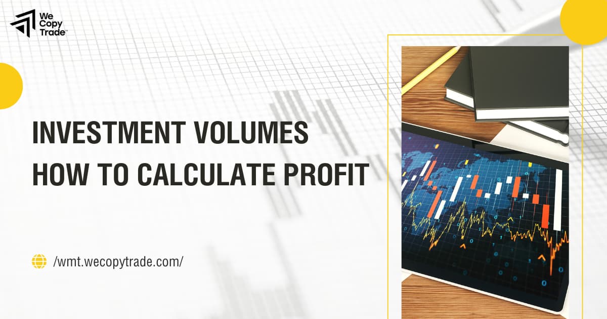 Investment Volumes or How to Calculate Profit