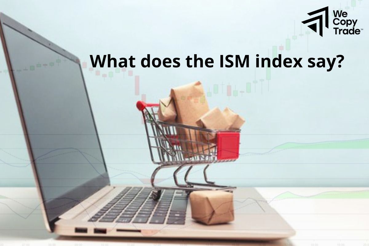 What does the ISM index say?