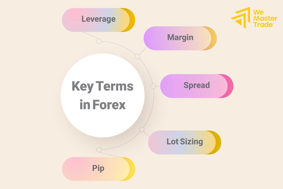 Một số thuật ngữ quan trọng khi học Forex