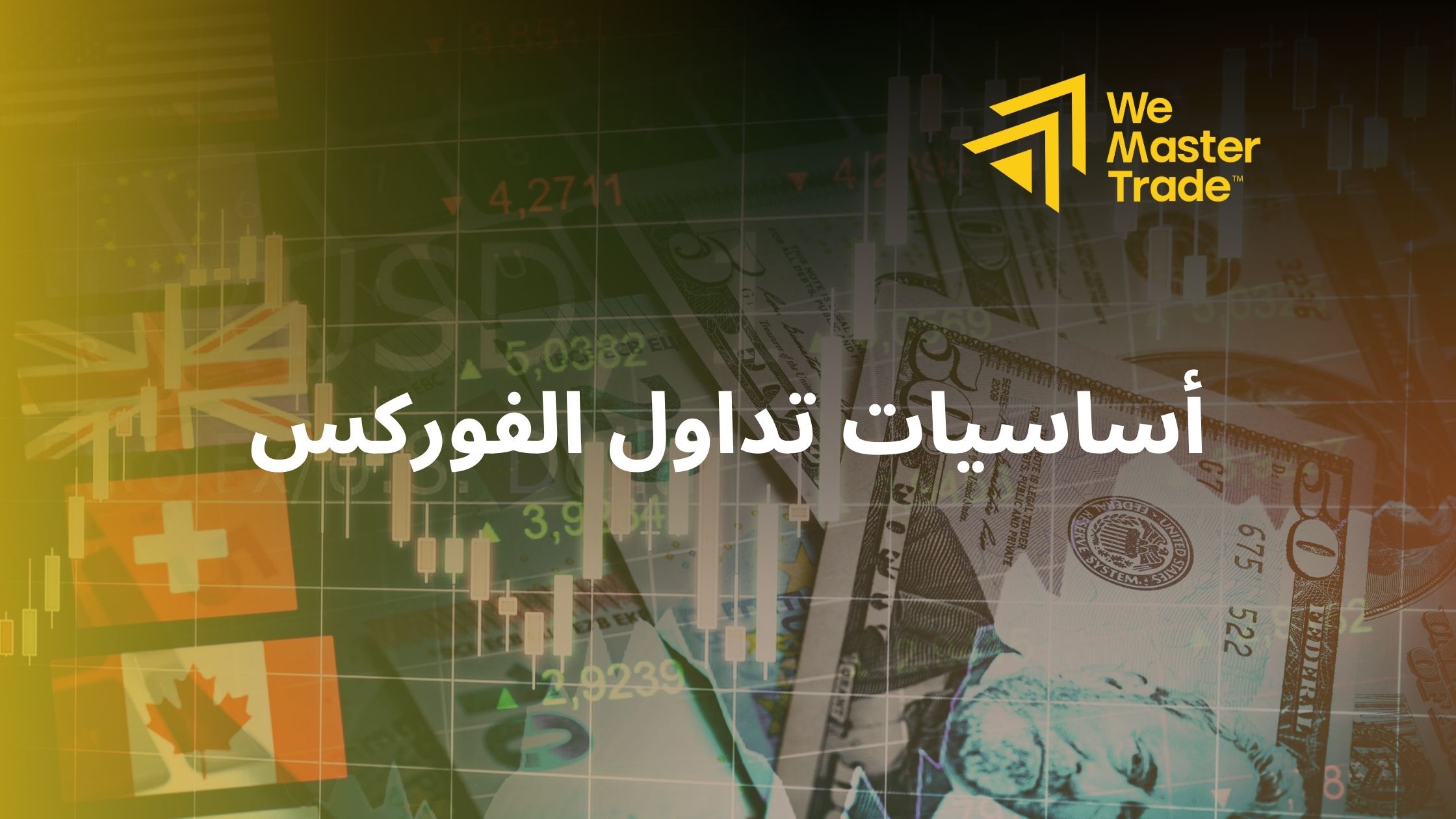 الأساسيات التي يجب أن يعرفها كل من يرغب في تعلم تداول الفوركس