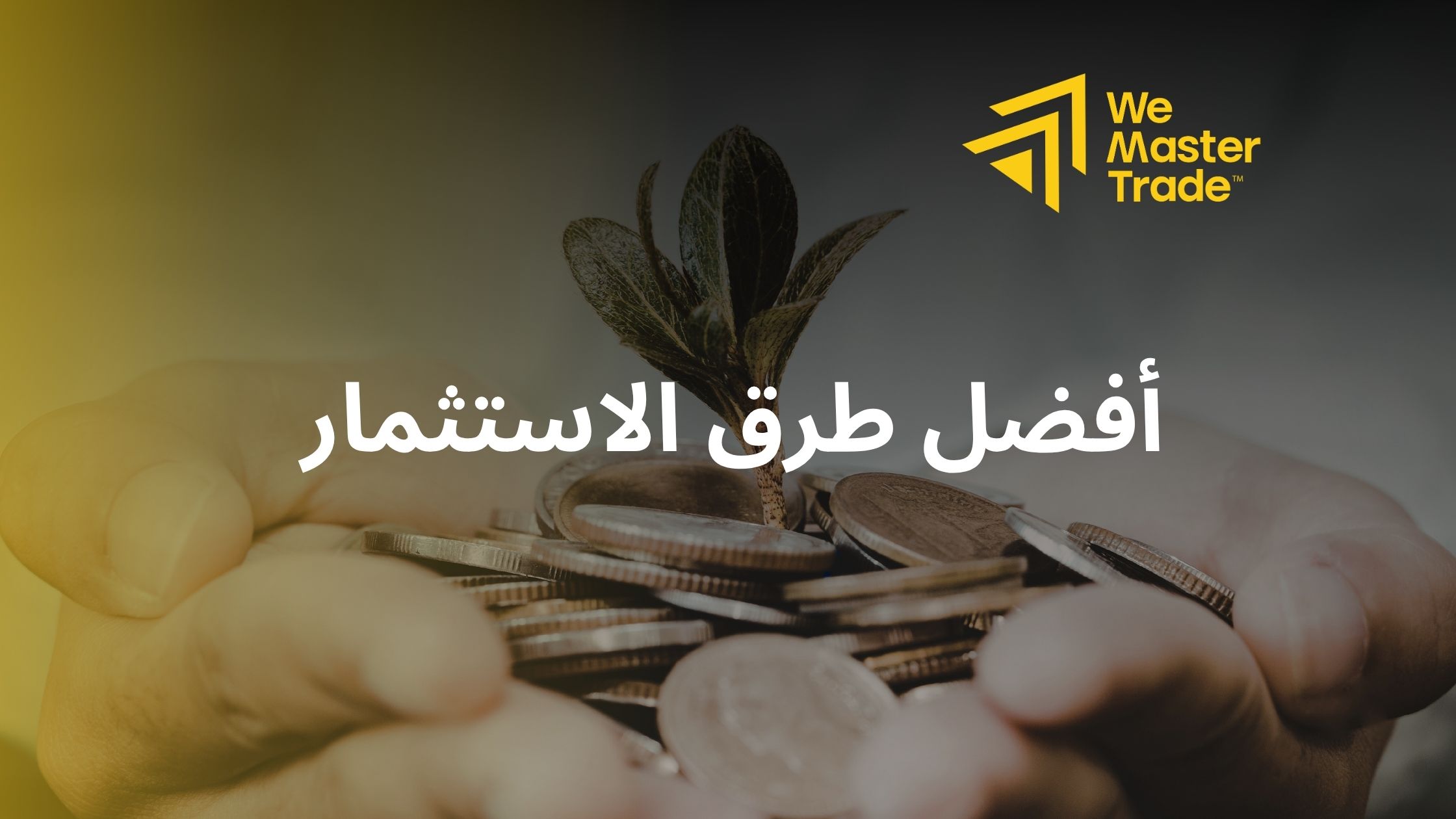 أفضل طرق الاستثمار