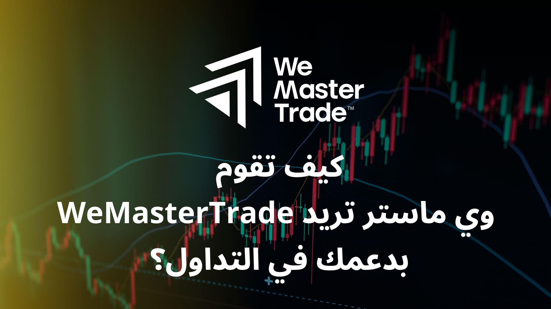 كيف تقوم WeMasterTrade بدعمك في التداول؟
